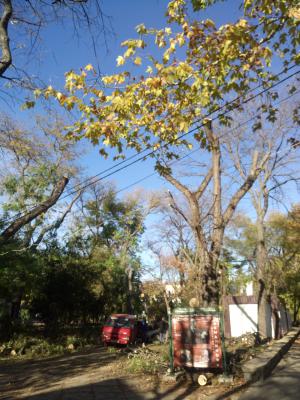 Прикрепленное изображение: DSC_0740.JPG